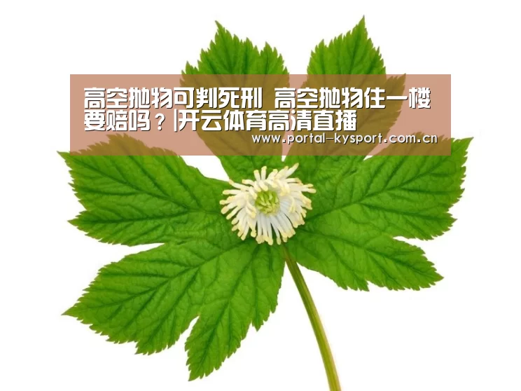 高空抛物可判死刑 高空抛物住一楼要赔吗?|开云体育高清直播(图4) 开云体育入口