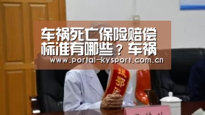 车祸死亡保险赔偿标准有哪些?车祸赔偿起诉注意事项‘开云体育入口’(图1) 开云体育入口