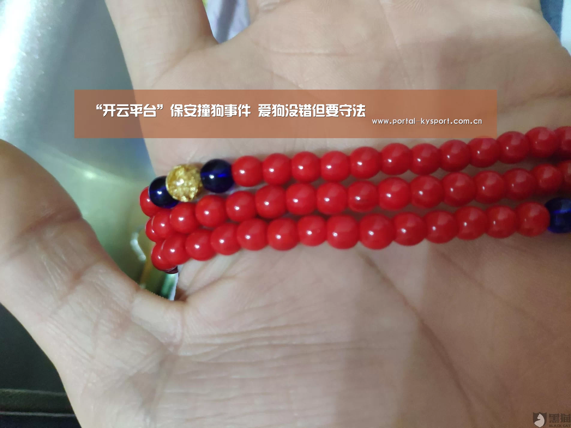 “开云平台”保安撞狗事件 爱狗没错但要守法(图2) 开云体育高清直播