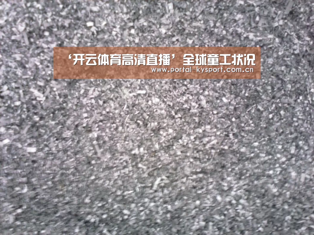 ‘开云体育高清直播’全球童工状况(图1) 开云体育高清直播