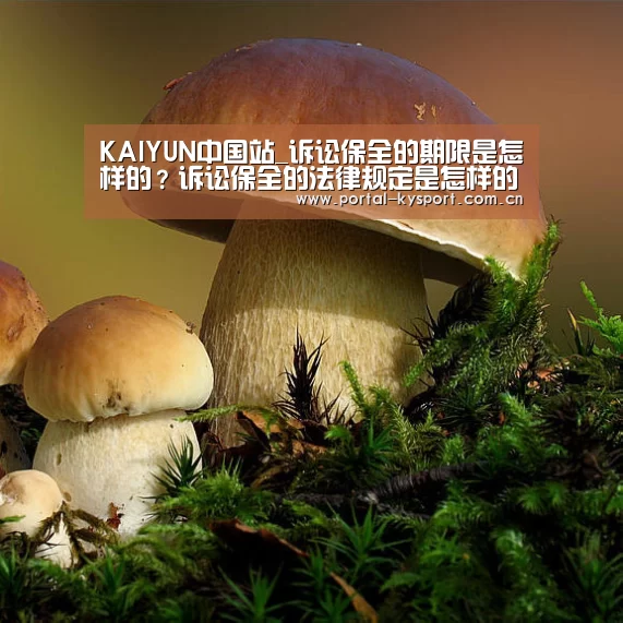 KAIYUN中国站_诉讼保全的期限是怎样的?诉讼保全的法律规定是怎样的?(图1) KAIYUN中国站