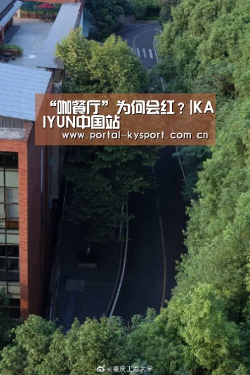 开云体育入口