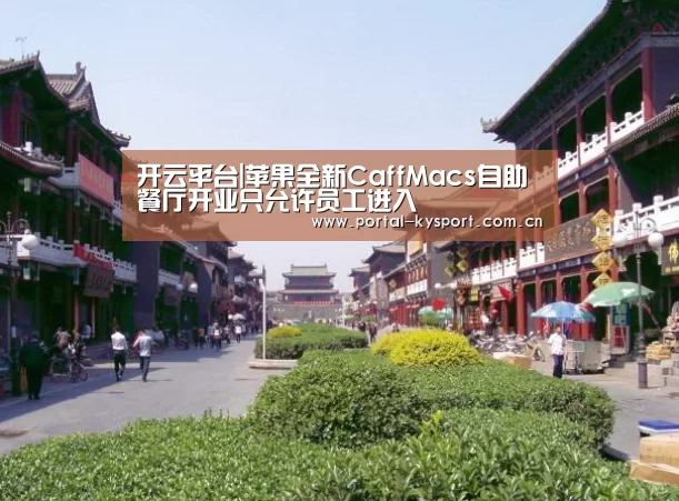 KAIYUN中国站