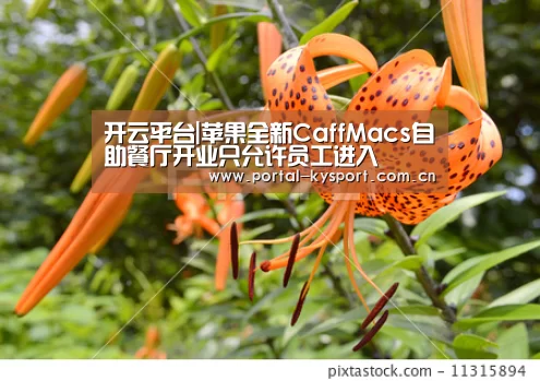 开云体育高清直播